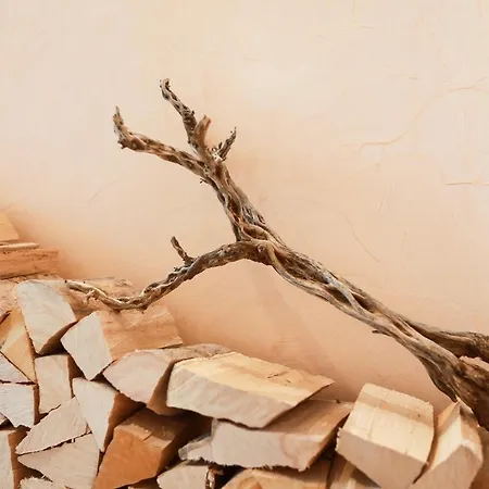 Anton シュラートミンク