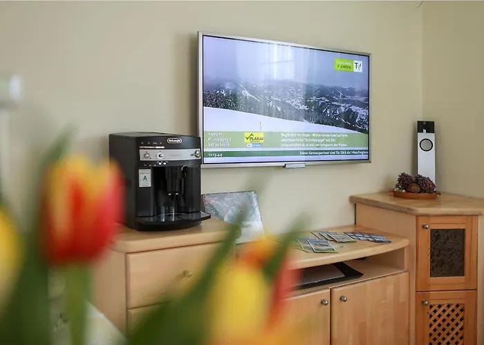 Anton 公寓 斯拉德明