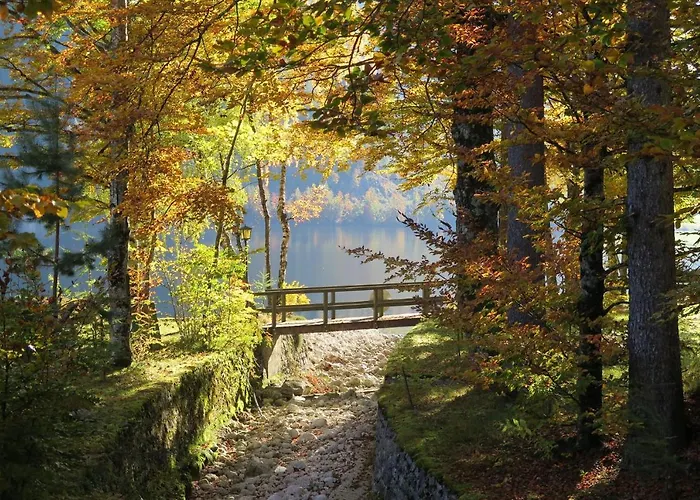 Διαμέρισμα Anton *